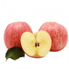 陕西红富士苹果，一直是大家比较认可的