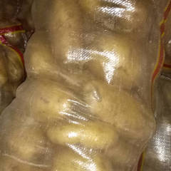 内蒙古武川四子王旗有300吨荷十五