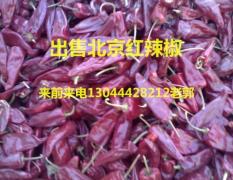 忻府干辣椒大量上市质量好 各种红辣椒