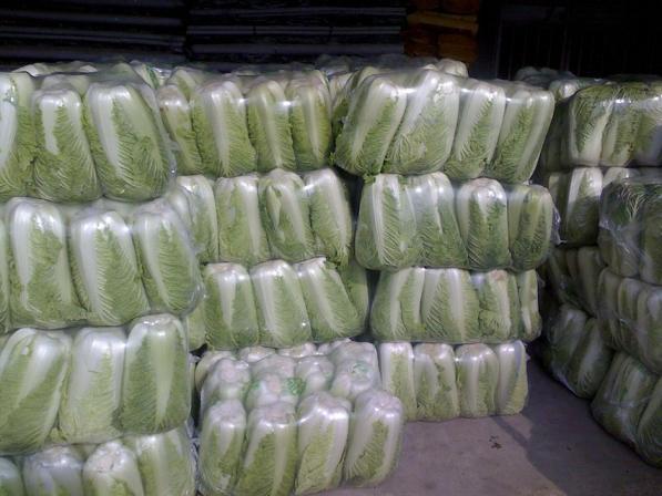 2017年山东滕州北京新三号价格