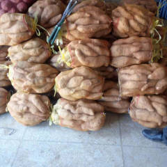 2017来安红薯 本地盛产红薯，现有烟薯