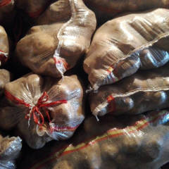 2017四子王旗土豆 土豆大小匀称，存放得当