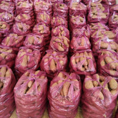 河南中牟商薯19红薯 本人储存优质二百吨