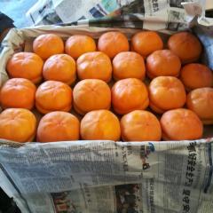 大柿子越来越少了，价格也跌落了