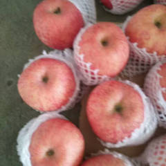 陕西大荔红苹果品质优良