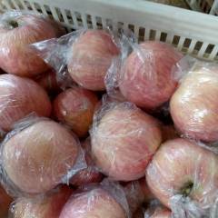 山西临猗红富士苹果颜色鲜亮，口感好