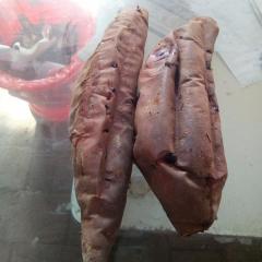夏津县红薯基地，推出烤红薯专用烟台蜜