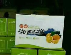湘西柑橘0.6元/斤上市中