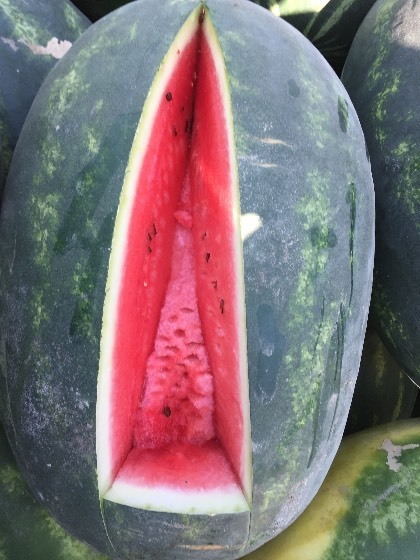 新绿宝价格