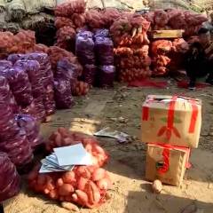 2018河南省太康红薯便宜了