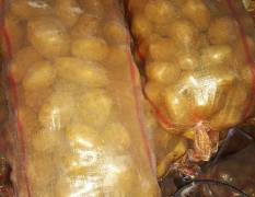 安定土豆 客户来甘肃收购土豆的标准惯例