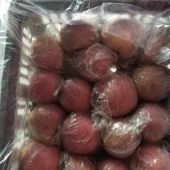 陕西大荔红富士苹果 大荔县，两宜镇