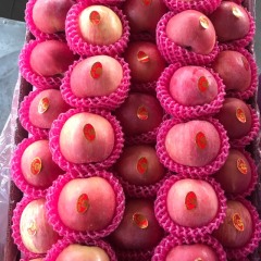 礼泉苹果 需要小苹果吗？纸袋、纸加膜