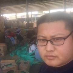 河南代办代发全国市场诚信合作