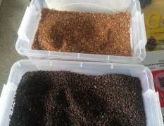 自己种植的有机黑米，红米，糯米