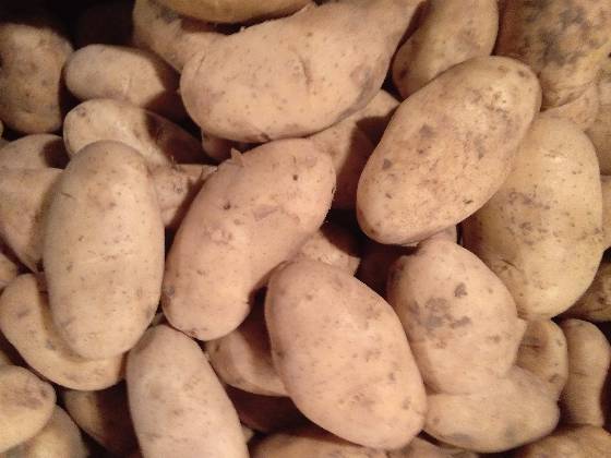 56元/斤 沙土地种植皮毛干净个头大肤色亮泽,薯型