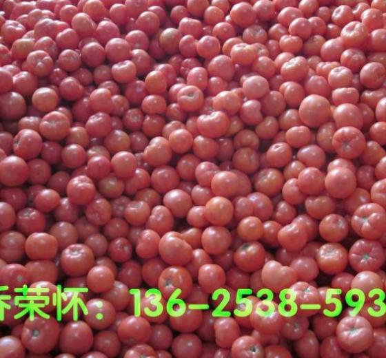 2013年山东岱岳金鹏价格