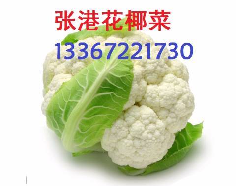 湖北天门中国花菜第一镇 张港镇 菜花价格行情 蔬菜商情网