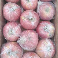 2018临猗苹果 临猗冰糖心红富士大量出库