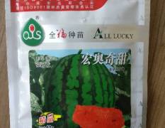 黑龙江我公司提供优质甜王西瓜种子--宏奥奇甜