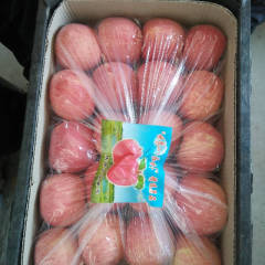 陕西洛川红富士苹果大量供应中