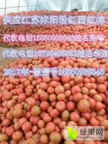 2015年江苏沭阳粉百利价格
