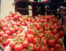 费县本地生产的优质西红柿，品种齐全