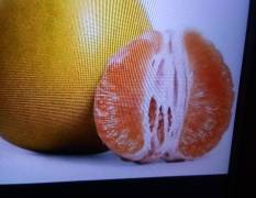 东坡金柚柚子单果重1千克_3千克，皮薄光滑