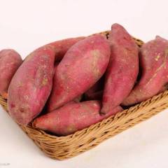 临沭苏薯八号价格0.95~1.00，红香蕉