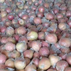 临猗冷库纸袋红富士，膜袋红富士