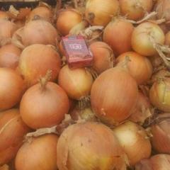 玉门代办 代发 代收 玉门地区各色洋葱