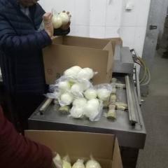 新优质黄皮洋葱，常年供应