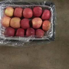 陕西冷库红富士苹果基地价格行情