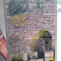 济阳富硒西瓜4月销售