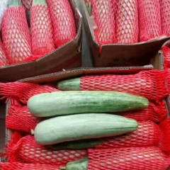 潍坊寒亭羊角蜜质量好、价格低