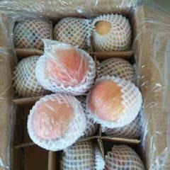 大荔两宜镇长年代办各种水果