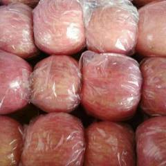 山西万荣临猗冷库红富士苹果开始大量低价位放货