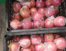 山西临猗经营各种水果，桃枣苹果葡萄梨