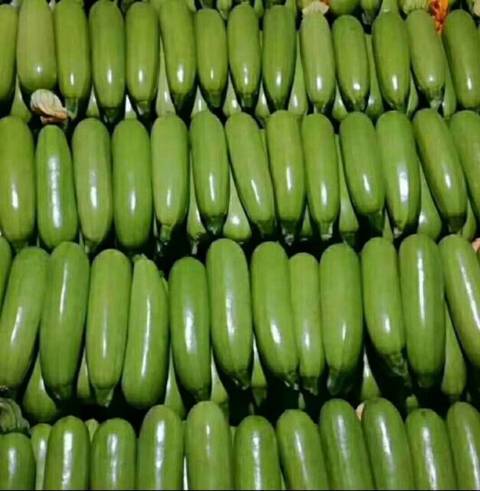 2018年山东东昌府绿玉价格