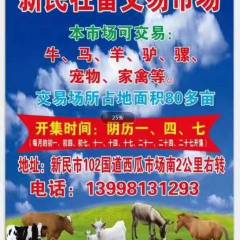 辽宁省新民市牲畜交易市场 波尔山羊