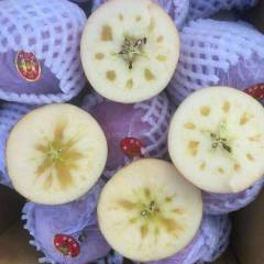 东莞苹果逐渐升温,下桥方生诚信合作