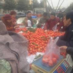 常年批发代办海阳市水果西红柿