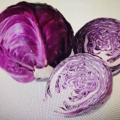 浚县甘蓝 2017秋季种的