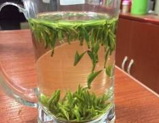 马边马边绿茶茶叶 不可多得的养生饮品