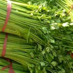 铜山芹菜逐渐升温黄集王利诚信合作