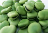 四川简阳提供大量优质胡豆，果实饱满