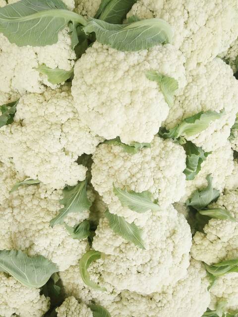 供应:江苏省沛县河口镇张李庄村白面青梗松花菜