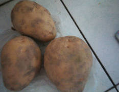 我是种植土豆的！自己土豆！