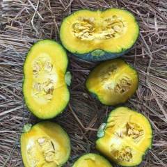 越南艾碧斯3月底到货。数量有限