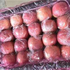 大荔两宜邢张峰2月冷库红富士苹果